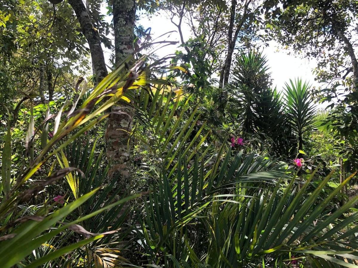 Macondo Chales Lavras Novas Exterior foto